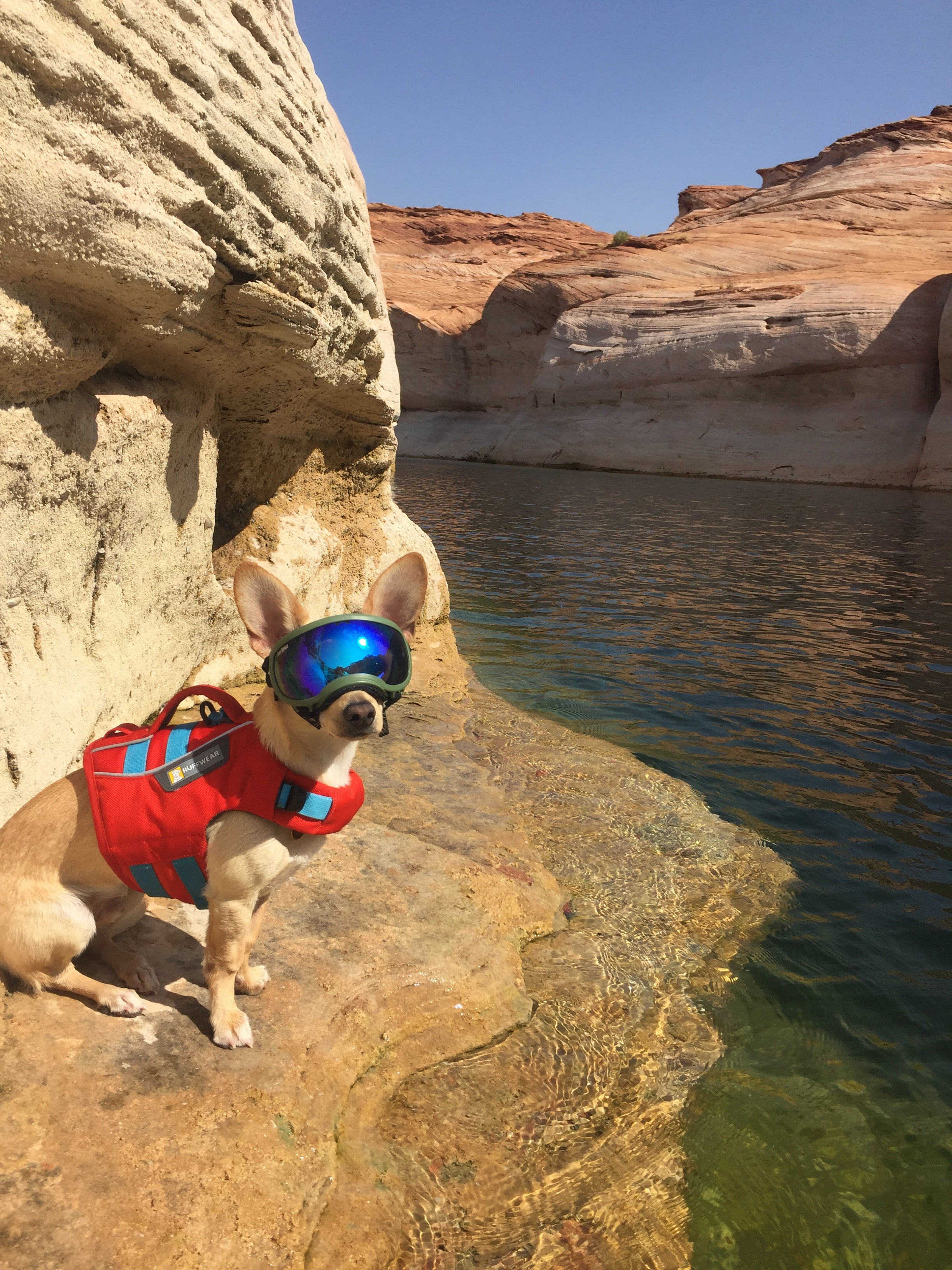 Antelope Canyon and Lake Powell by @zizou.adventure.dog – Dogs On