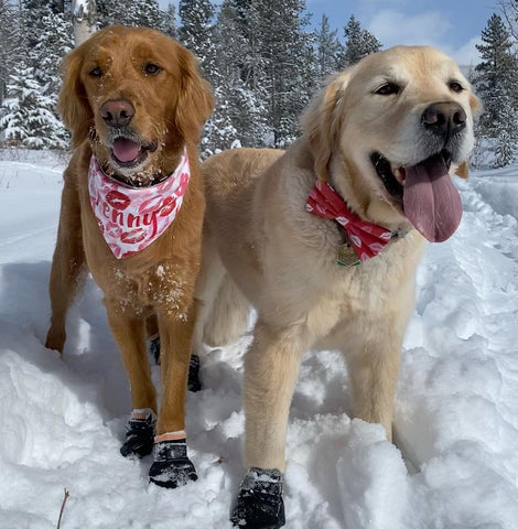 The High Uintas by @packofgoldenglocks