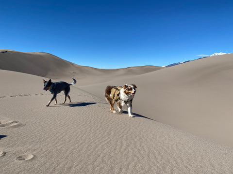 Great Sand Dunes National Park by @troontheaussie