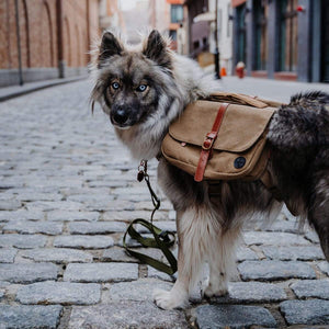  Widlerdog Dog Backpack with Built in Harness and Back